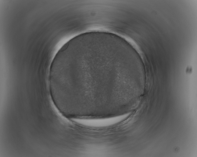 X0000092251295200709281136