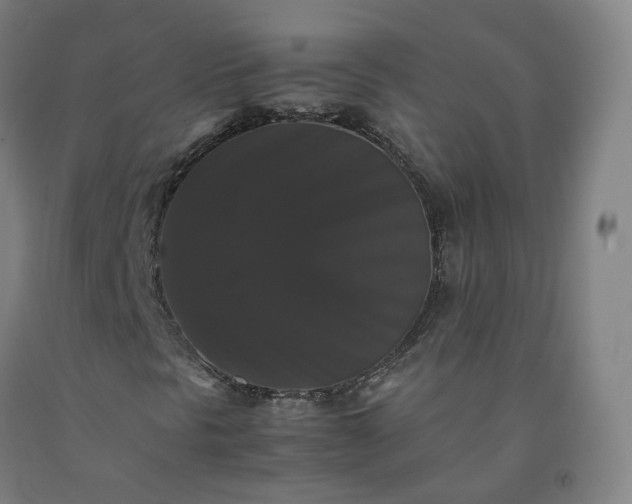 X0000092251297200709281136