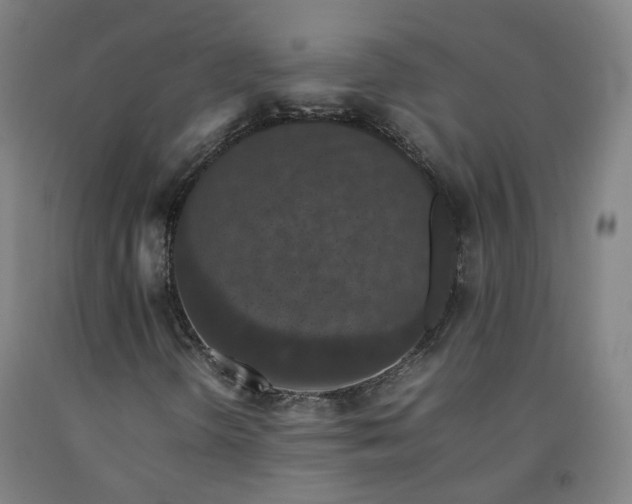 X0000092251298200709281136