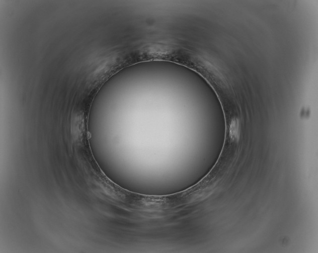 X0000092251299200709281136