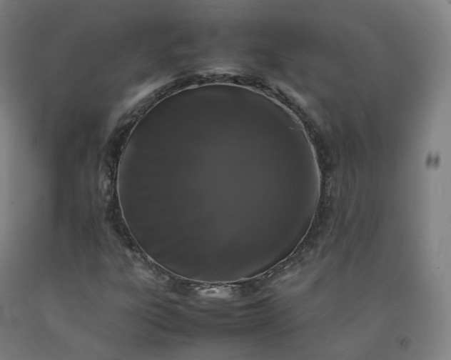 X0000092251303200709281136