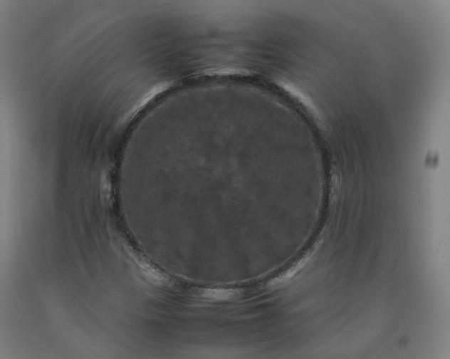 X0000092251305200709281136