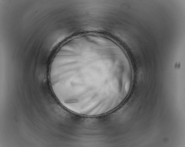 X0000092251306200709281136