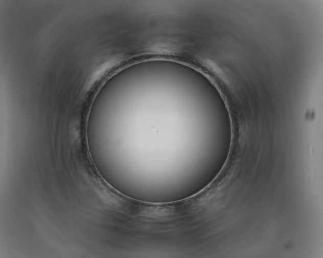 X0000092251307200709281136