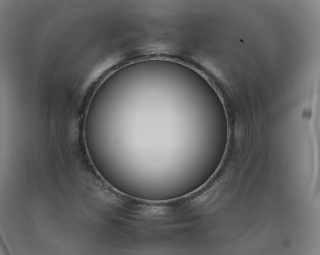 X0000092251309200709281136