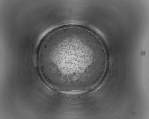 X0000092251310200709281136