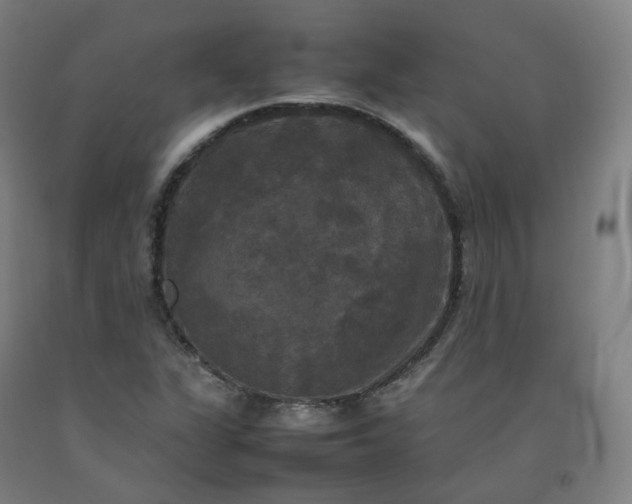 X0000092251311200709281136