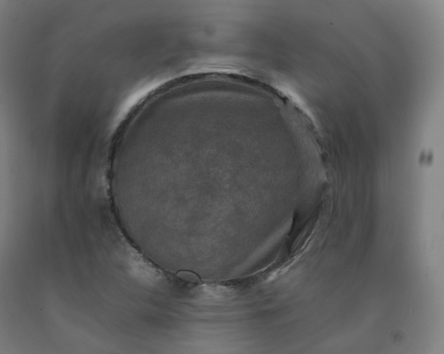 X0000092251312200709281136