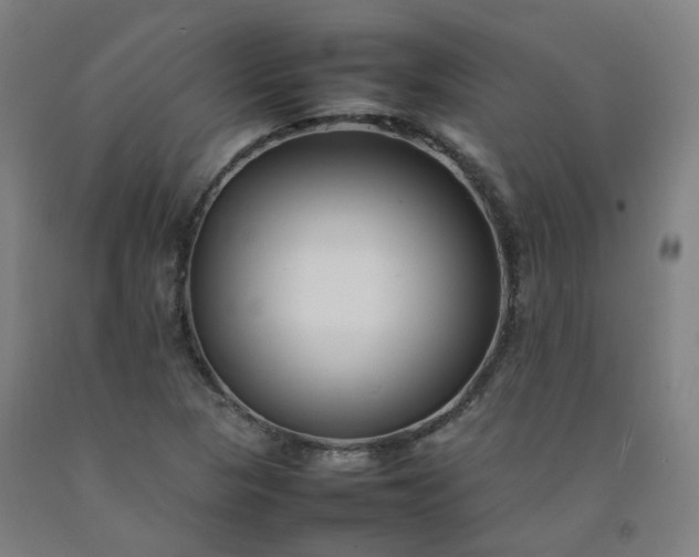 X0000092251313200709281136