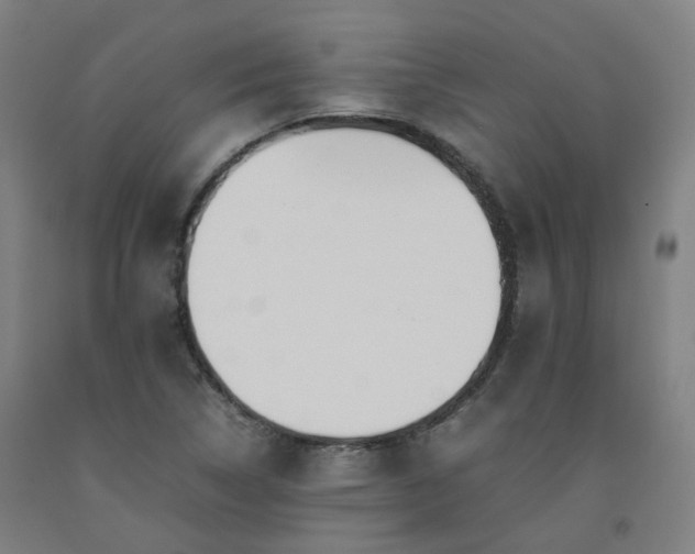 X0000092251314200709281136