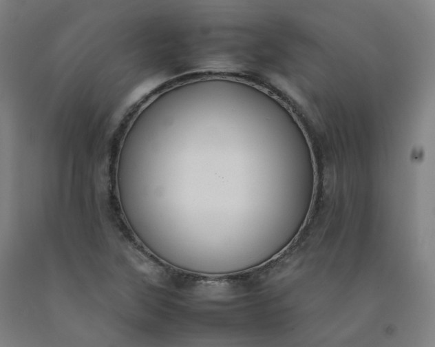 X0000092251315200709281136