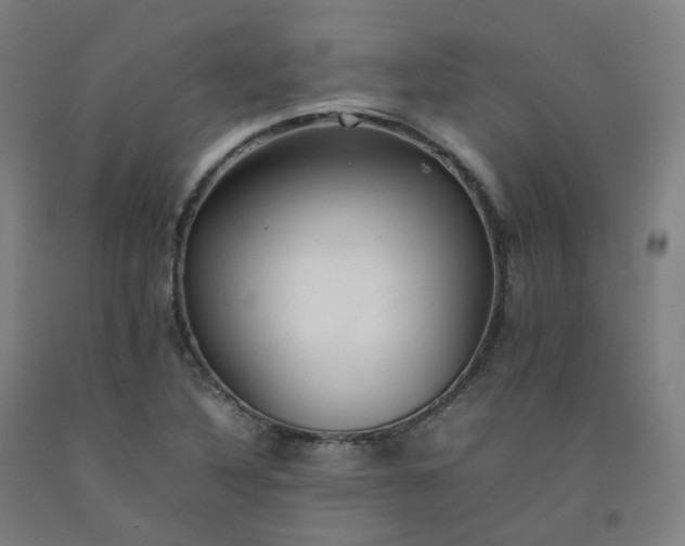 X0000092251316200709281136