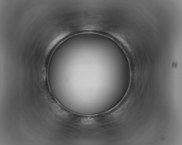 X0000092251317200709281136