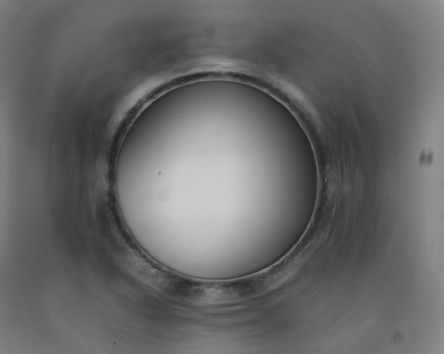 X0000092251318200709281136