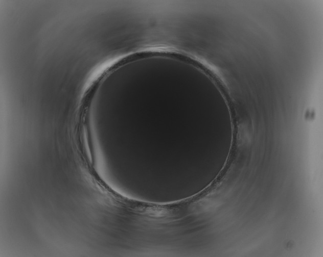 X0000092251319200709281136