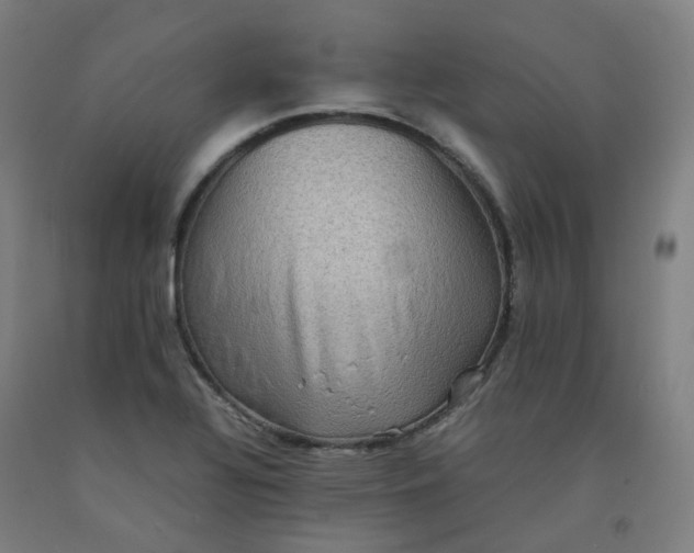 X0000092251320200709281136