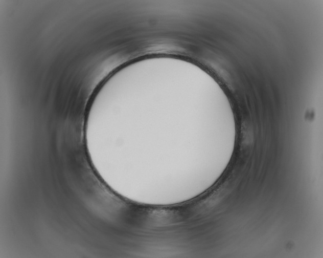 X0000092251322200709281136