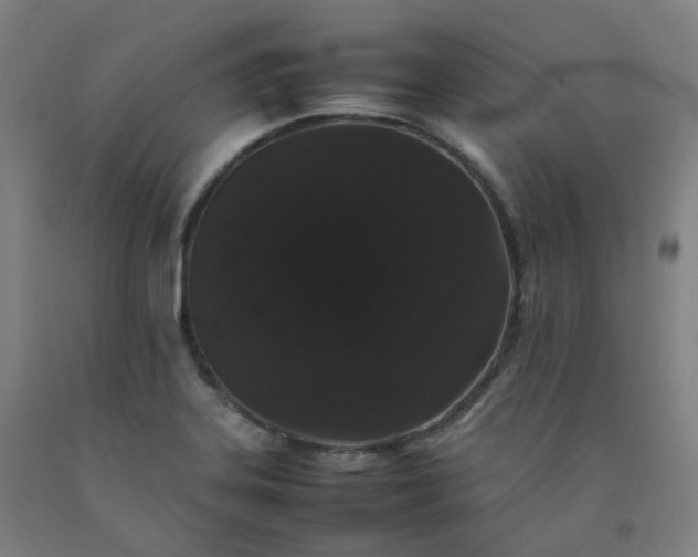 X0000092251323200709281136