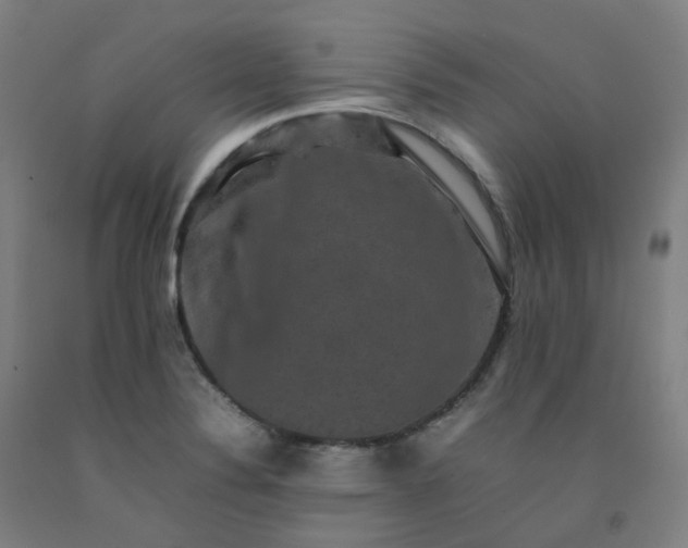 X0000092251324200709281136