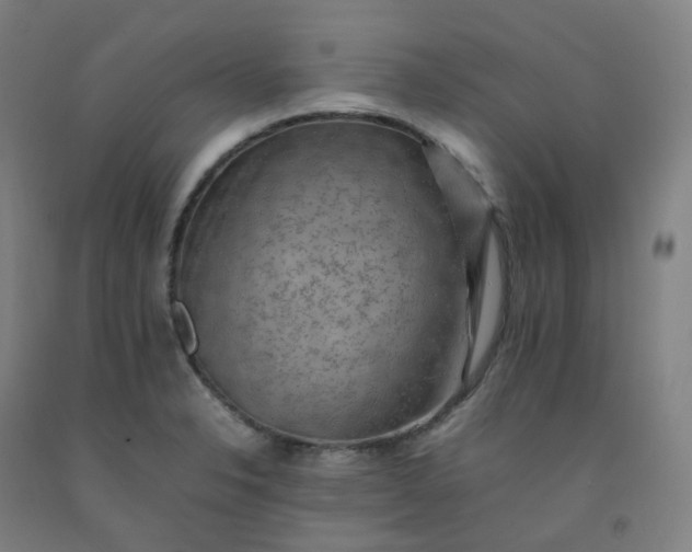 X0000092251326200709281136