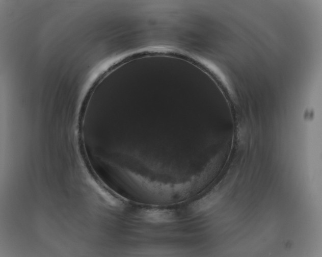 X0000092251327200709281136