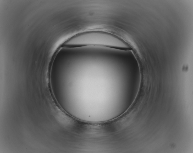 X0000092251328200709281136