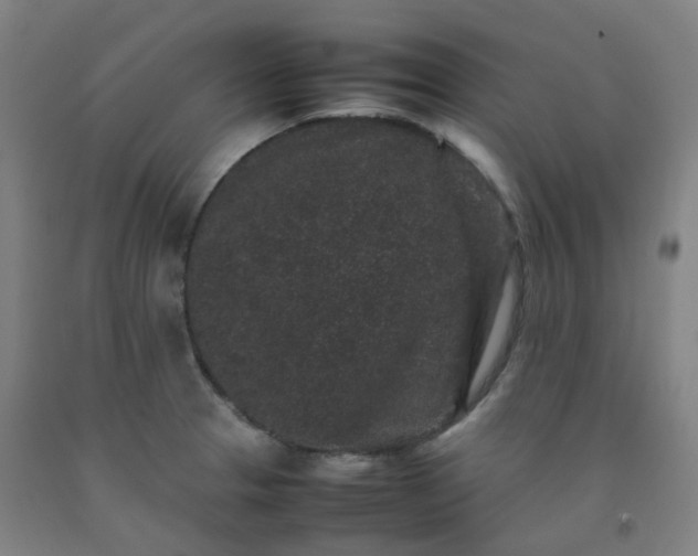 X0000092251329200709281136