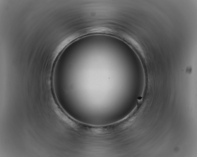 X0000092251330200709281136