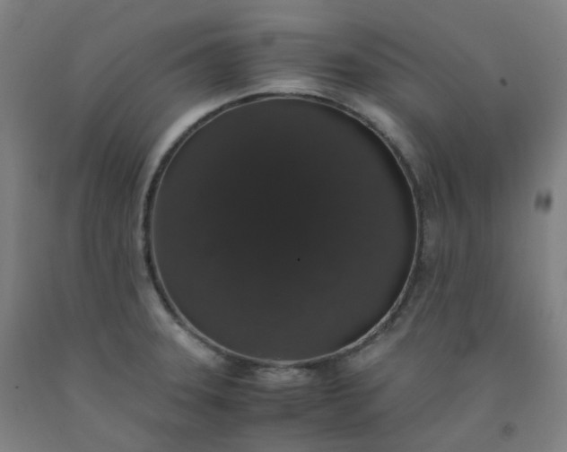 X0000092251331200709281136