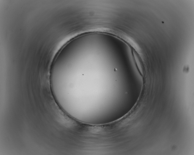 X0000092251332200709281136