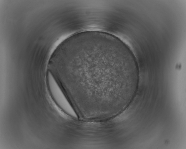 X0000092251333200709281136