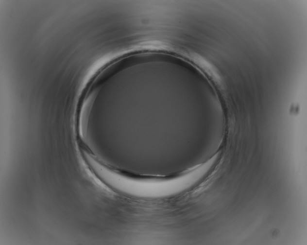 X0000092251334200709281136