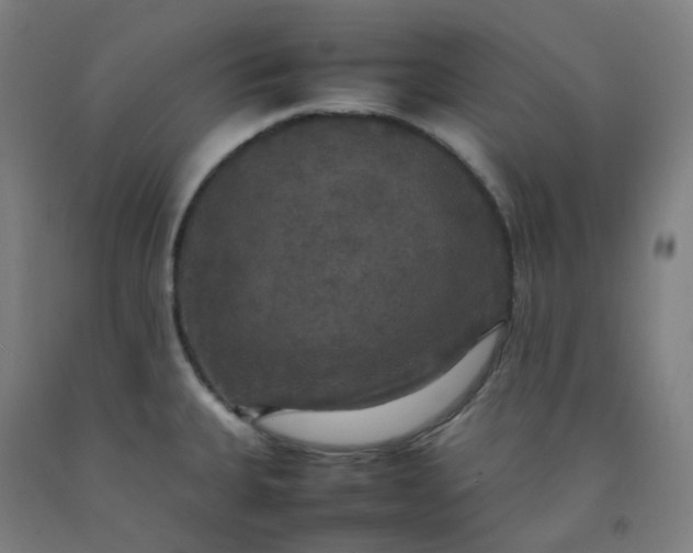 X0000092251335200709281136