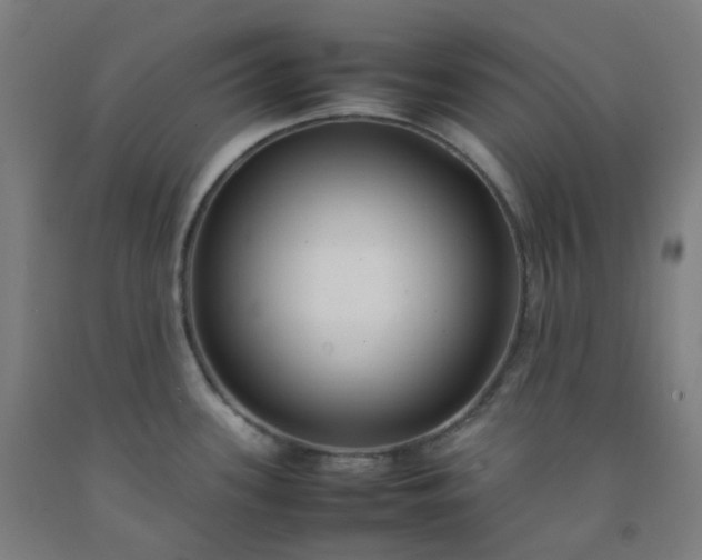 X0000092251339200709281136