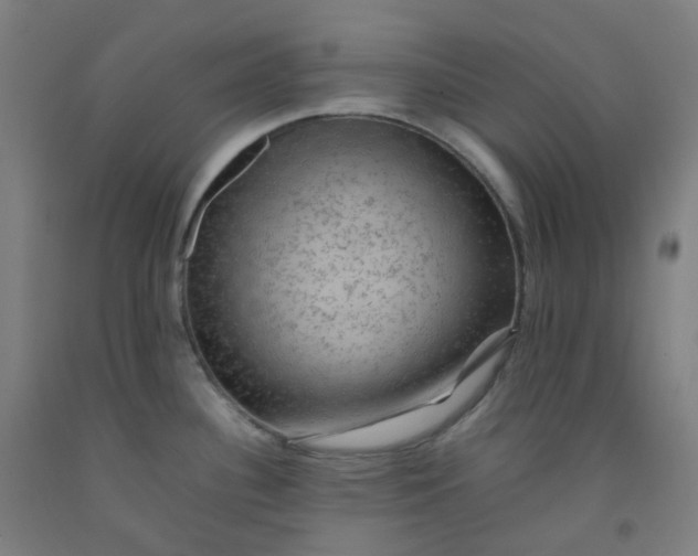 X0000092251340200709281136