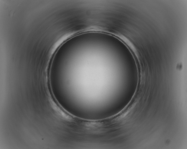 X0000092251341200709281136