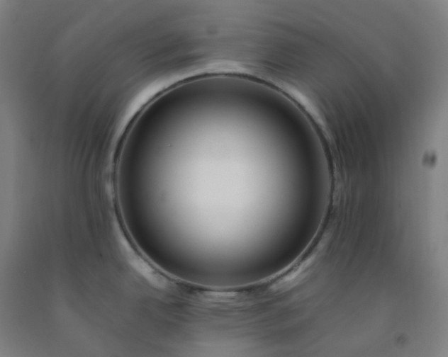 X0000092251342200709281136