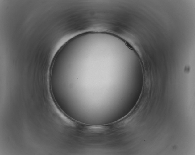 X0000092251343200709281136