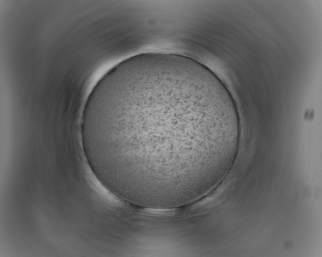 X0000092251344200709281136