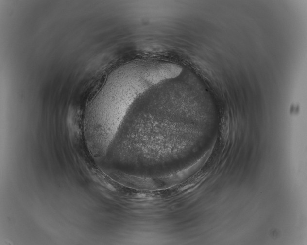 X0000092251346200709281136