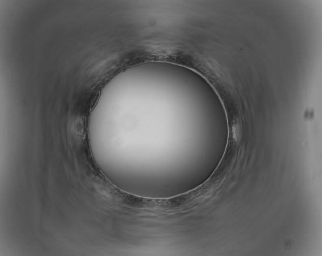 X0000092251347200709281136