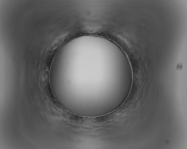 X0000092251349200709281136