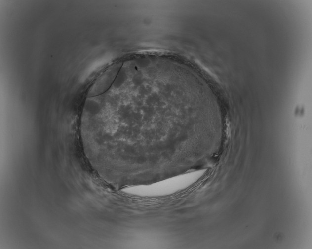 X0000092251351200709281136