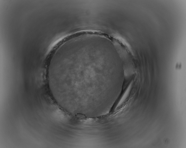 X0000092251352200709281136