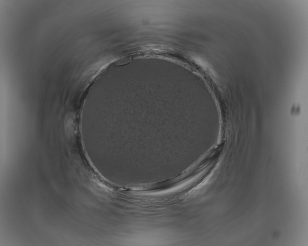 X0000092251353200709281136