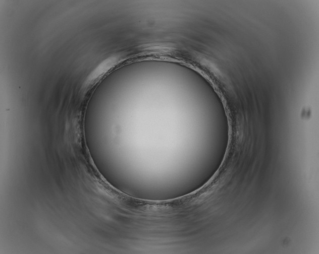 X0000092251354200709281136