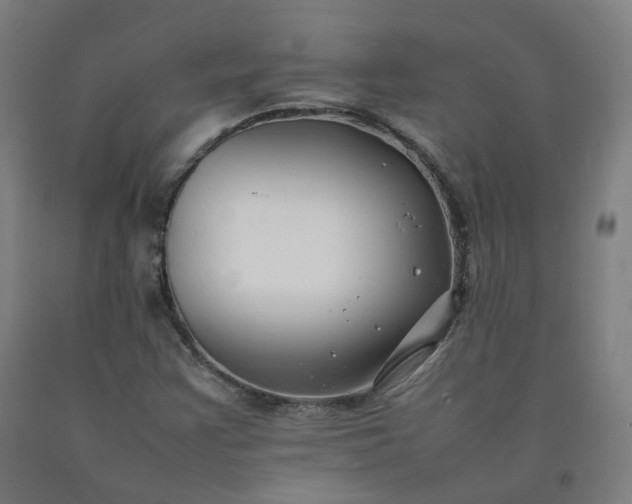 X0000092251355200709281136