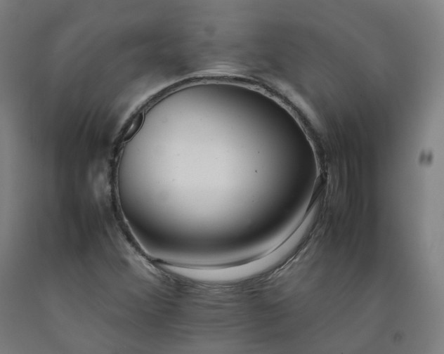 X0000092251356200709281136