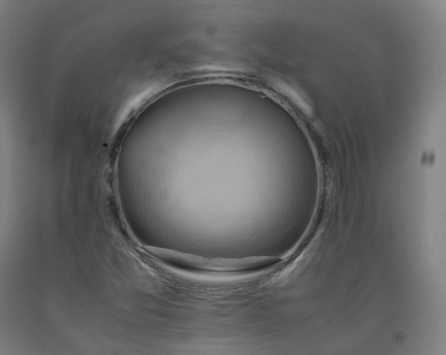 X0000092251357200709281136