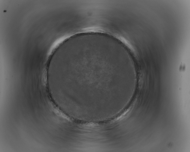 X0000092251358200709281136